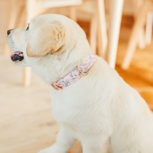 Personalized Laser Engraved Metal Folklore Floral Dog Collar, Quick Release Buckle, whimsical Peach and Green, Spring Wedding Girl Collar image 3