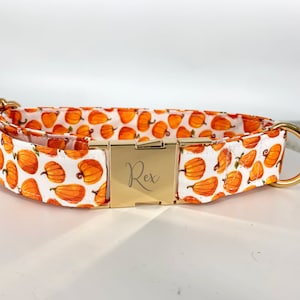 Pumpkin Dog Collar Personalized, Autumn design, fall Pet wear, Black and Orange.