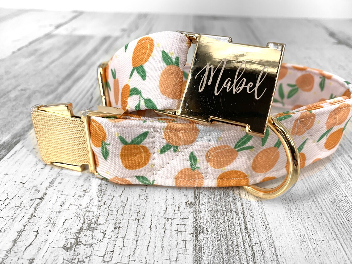 Personalized Laser Engraved Peach Dog Collar Spring Style Etsy