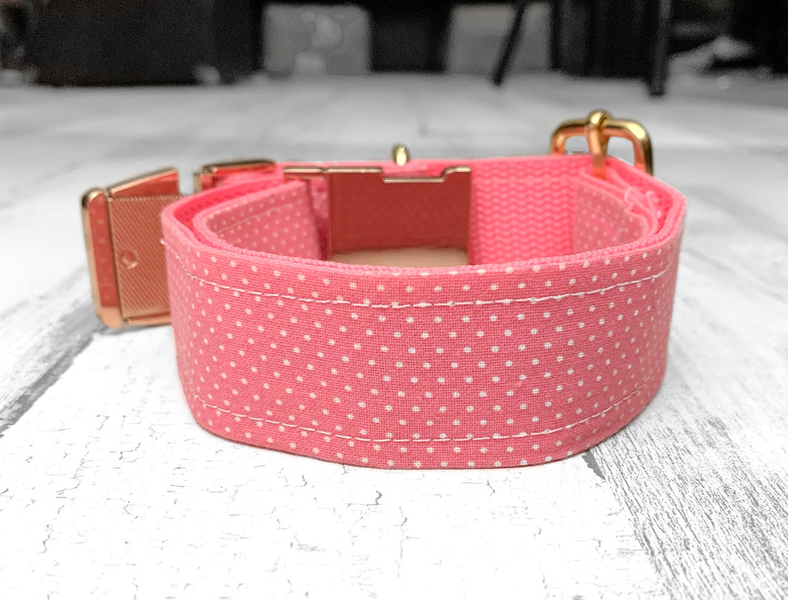 Personalized Laser Engraved Metal Buckle Dog Collar Boho Etsy