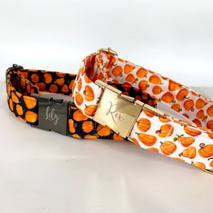 Pumpkin Dog Collar Personalized, Autumn design, fall Pet wear, Black and Orange. image 5