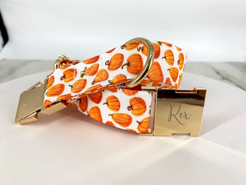 Pumpkin Dog Collar Personalized, Autumn design, fall Pet wear, Black and Orange. image 4