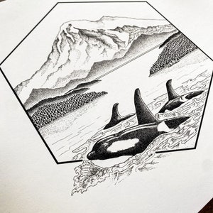 Orcas and Mt. Baker Original Illustration Print Archival Quality Print image 3