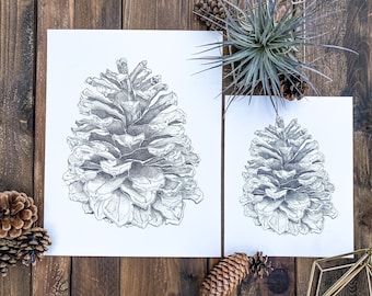 The Pinecone — Original Pen & Ink Archival Print