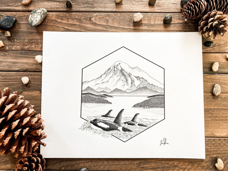 Orcas and Mt. Baker Original Illustration Print Archival Quality Print image 2