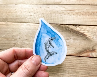 Humpback Raindrop Weatherproof sticker -Original Watercolor Illustration- Printed in Washington