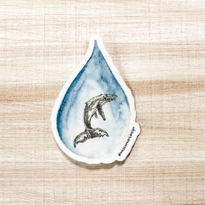 Bultrug regendruppel weerbestendige sticker - originele aquarelillustratie - gedrukt in Washington