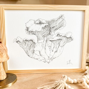Chanterelles — Original Pen & Ink Archival Print