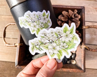 Pacific Dogwood Blossoms Weatherproof Vinyl Sticker - Original Water color and Pen Illustration