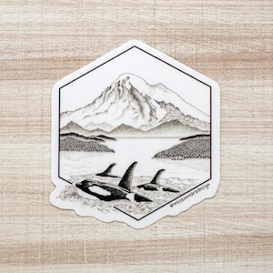 Orcas and Mt. Baker Weatherproof Vinyl Sticker -Original Pen & Ink Illustration- Made in Washington