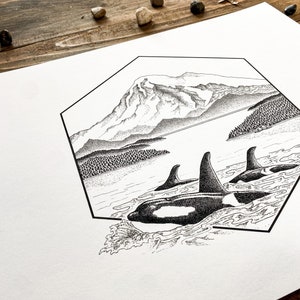 Orcas and Mt. Baker Original Illustration Print Archival Quality Print image 6