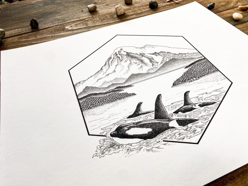 Orcas and Mt. Baker Original Illustration Print Archival Quality Print image 6