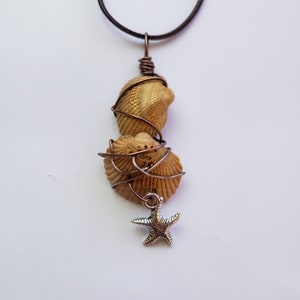 Real sea shell necklace, hand painted, shell pendant, wire wrapped, charm, nautical, Mermaid necklace, seashell, beach jewelry, gift