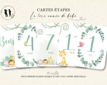 Cartes étapes bébé la première année de bébé - de la naissance à 1an - animaux - jungle - tropical - 16 cartes