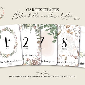 Cartes étapes Allaitement - bébé et maman - 14 cartes - noces d'allaitement
