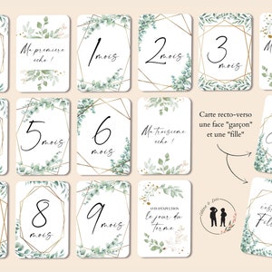Cartes étapes de grossesse - thème boho eucalyptus - 15 cartes - mois de grossesse, écho, fille ou garçon image 2