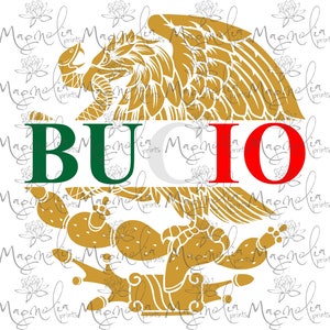 Aguila mexicana / Águila mexicana / BUCIO / digital / descarga de archivo de diseño / png svg jpg eps / Escudo de México / escudo mexicano