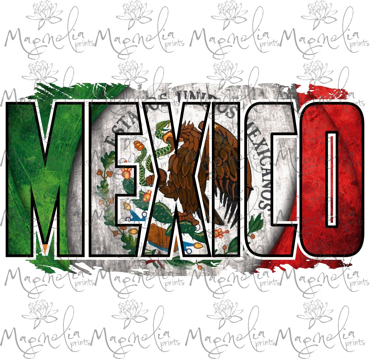 Mexican Graphics / Grafica Mexicana 洋書/画 Mexican Graphics: Grafica Mexicana