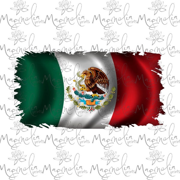 Mexican flag   /  digital / design file download PNG and JPG