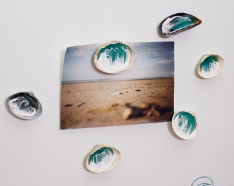 Seashell Magnets: Resin Ocean Art, Beach Decor - Set of 5