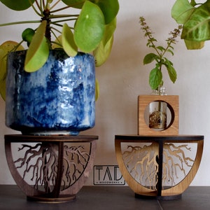May include: Three wooden plant stands featuring a root design. The stands are crafted from dark wood and have a natural wood finish. Each stand displays a different plant: a leafy green plant in a blue pot, a leafy green plant in a brown pot, and a small green plant in a glass vase.