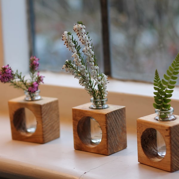 Set of Small Desktop Propagation Cube Vases Pine