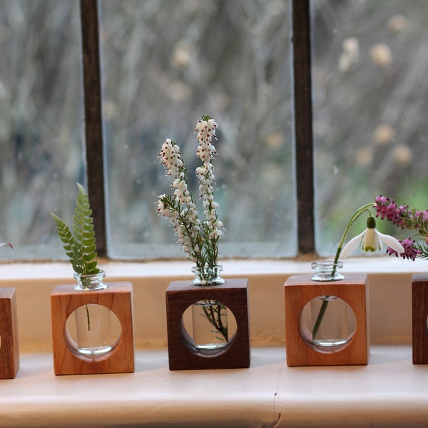 Small Desktop Propagation Vase Cube Hardwood