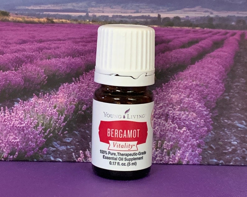 Young Living Essential Oil BERGAMOT 5 Ml 2 Ml 1 Ml Sample Etsy