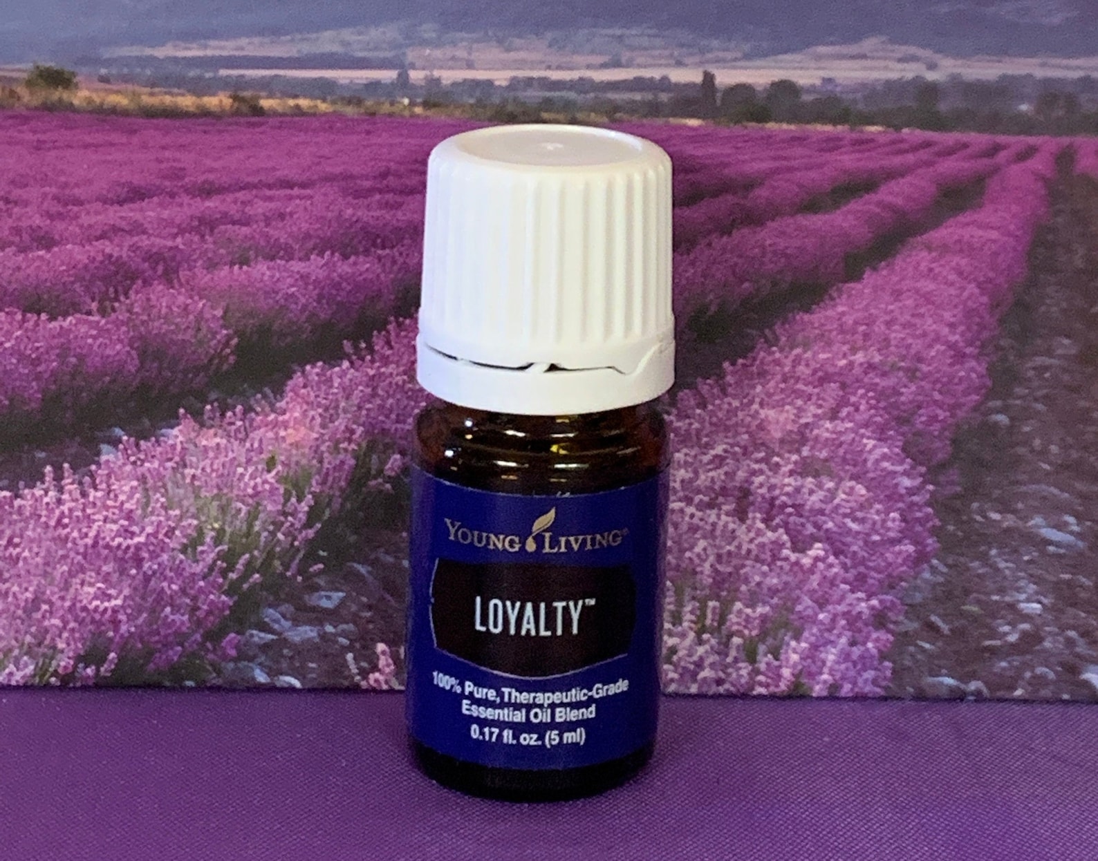Young Living Essential Oil LOYALTY 1 ml samples sizes for Etsy