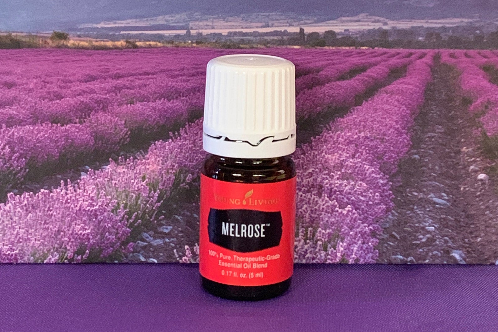 Young Living Essential Oil Melrose 5 Ml 2 Ml 1 Ml Samples Etsy