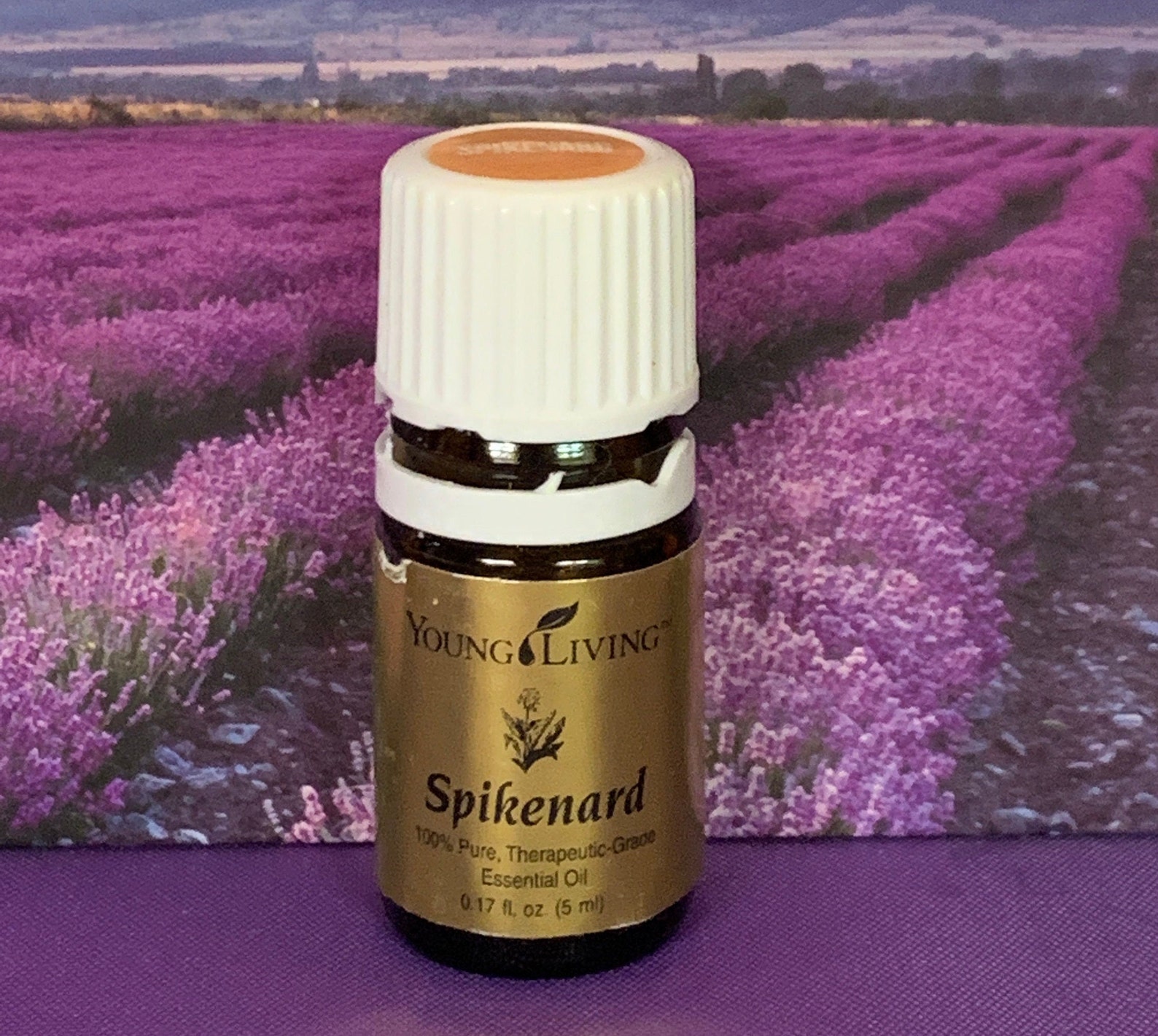 Young Living Essential Oil Rare SPIKENARD 5 ml 2 ml 1 ml Etsy