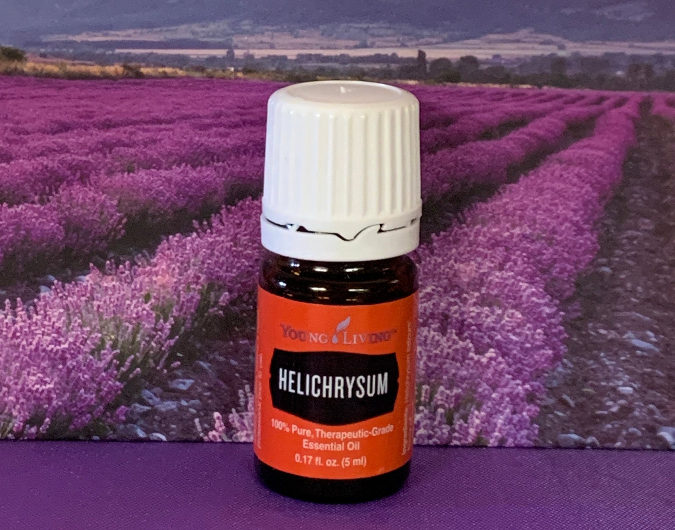 Young Living Essential Oil HELICHRYSUM 5 Ml 2 Ml 1 Ml Sample Etsy