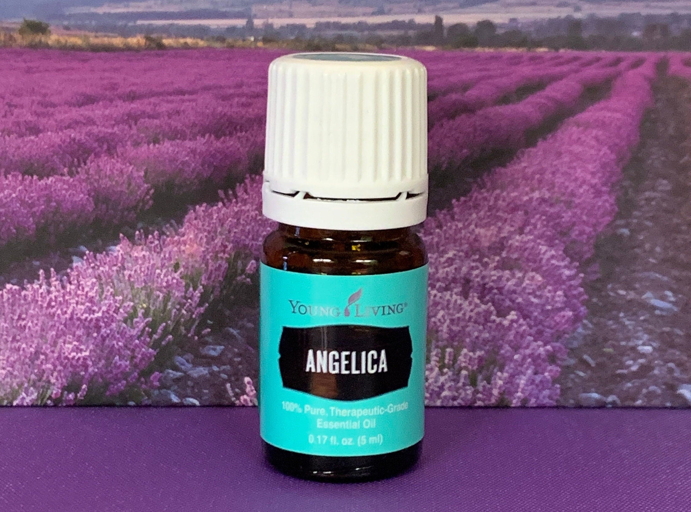Aceite Esencial de Young Living ANGELICA 2 ml 1 ml de tamaños Etsy