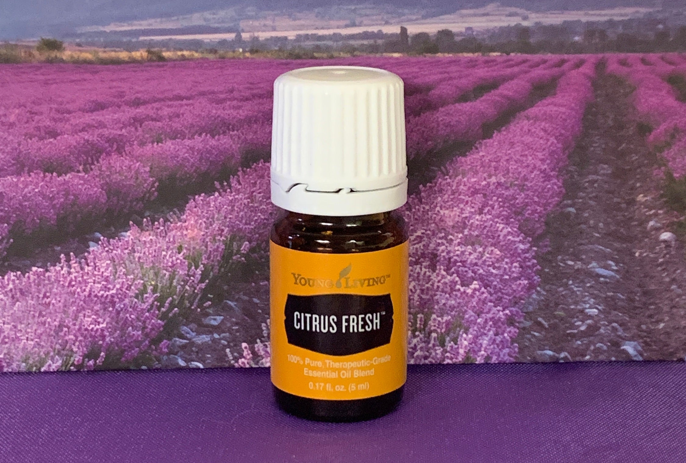 Young Living Essential Oil Citrus Fresh 5 Ml 2 Ml 1 Ml Samples Etsy