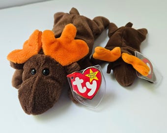 Vintage 1993 Chocolate the Moose Beanie Baby Set | Full Size & McDonalds Mini | Retro 90s Ty Plush Duo Lot