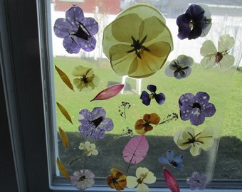 Real Laminated Flowers