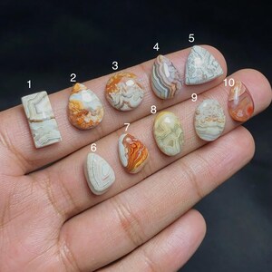 May include: A collection of ten polished agate gemstones in various shapes and colors, including white, brown, orange, and gray. The gemstones are numbered and displayed against a dark background.