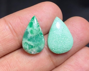 Natural American Variscite Cabochon, Green Variscite 2 Pieces Lot Gemstone For Jewelry Making,Ring & Necklace Size Variscite Cabochon, 10cts
