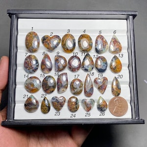 May include: A collection of twenty-six polished, multi-colored gemstones with varied shapes including ovals, hearts, and teardrops, arranged in a white display tray. Each stone is numbered from 1 to 26, with a US penny included for scale.