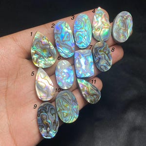 Può includere: Una collezione di undici cabochon in conchiglia di abalone lucidati in varie forme, tra cui a goccia, ovale e rettangolare. Ogni pezzo mostra motivi iridescenti e vorticosi di blu, verde, viola e oro, numerati da uno a undici.