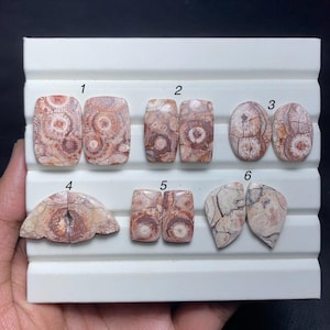 以下が含まれることがあります： 長方形、楕円形、フリーフォームデザインなど、さまざまな形状の6つの研磨された宝石カボションのコレクション。石は、ユニークなパターンを持つ茶色、ベージュ、クリーム色の色の混合を示し、白いディスプレイのトレイにセットされています。