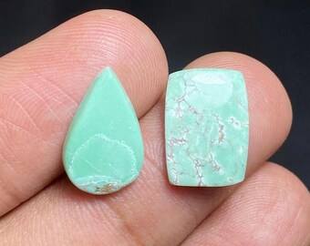 Natural American Variscite Cabochon, Green Variscite 2 Pieces Lot Gemstone For Jewelry Making,Ring & Necklace Size Variscite Cabochon, 9cts