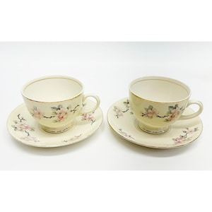 Homer Laughlin Apple Blossom Coffee Tea Cup Eggshell Nautilus 2 Cups & Saucers