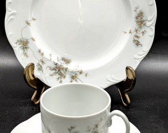 Schönes Vintage Kaffeegeschirr von Rosenthal Germany, 3 teiliges Set - Classic Rose Monbijou Grüne Ranke