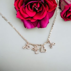 Peut inclure: Un collier en argent avec quatre pendentifs : un symbole d’infini, un cœur, une lettre « E » et une lettre « M ». Le collier est sur un fond blanc avec une rose rose.
