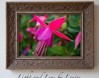 Afdrukbare muurkunst roze fuchsia bloem | Botanische fotografie digitale download | Levendige bloemen natuurkunst | Afdrukbare woondecoratie