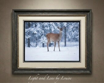 Winter Deer Digital Download • Snowy Woodland Wildlife Wall Art • Photography Nature Printable • Forest Animal Artwork • Instant Download