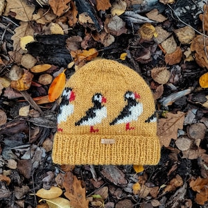May include: Mustard yellow knit beanie with a repeating bird pattern in black, white, and red. The hat features a ribbed brim and a small tag with text. The hat is lying on a bed of fallen leaves and twigs.