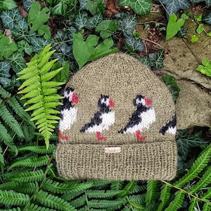May include: A knitted beanie hat in olive green, featuring a repeating pattern of puffin birds in white, black, and red. The hat is set against a backdrop of green foliage, including ferns and ivy.
