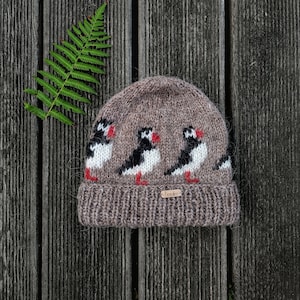 May include: A brown knit beanie featuring a repeating pattern of puffin birds in black, white, and red. The hat has a ribbed brim and a small wooden tag. A green fern leaf rests on a weathered wooden surface.